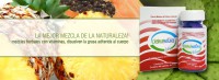 /album/fotogaleria/slide03-jpg/